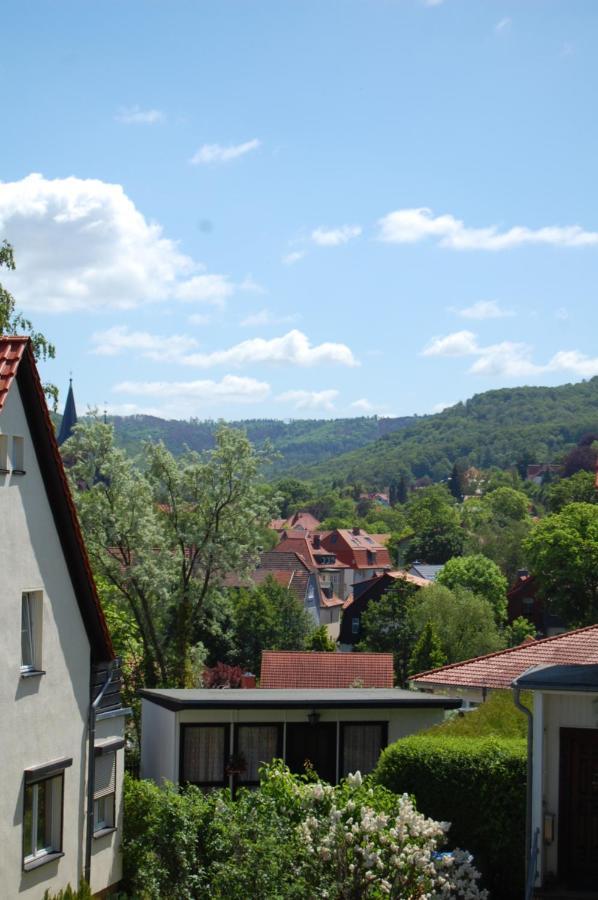 Ferienwohnung Hertha 韦尼格罗德 外观 照片